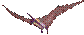no-tail pterosaur, small