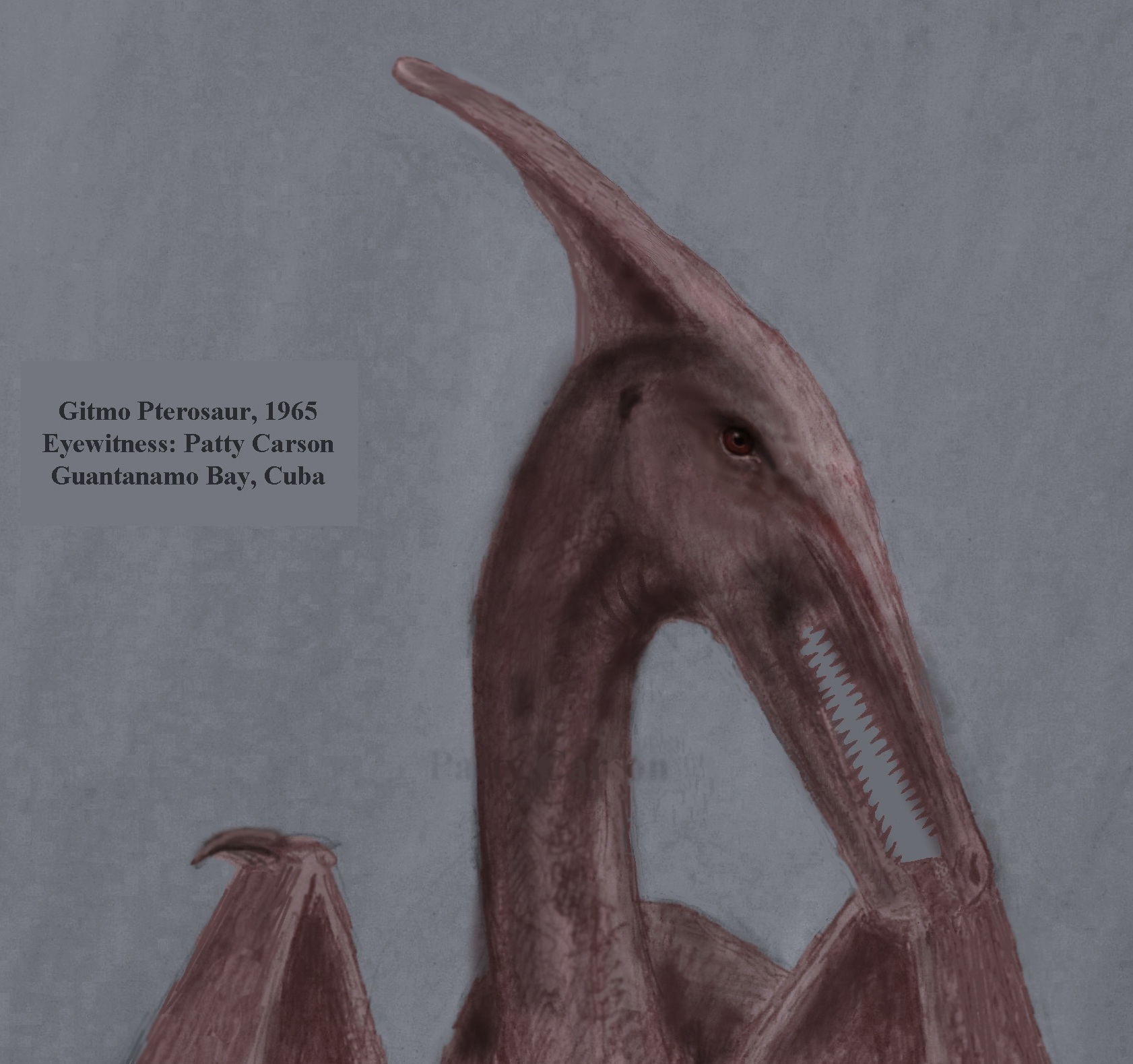 Gitmo Pterosaur of Guantanamo Bay Cuba, sighting in 1965