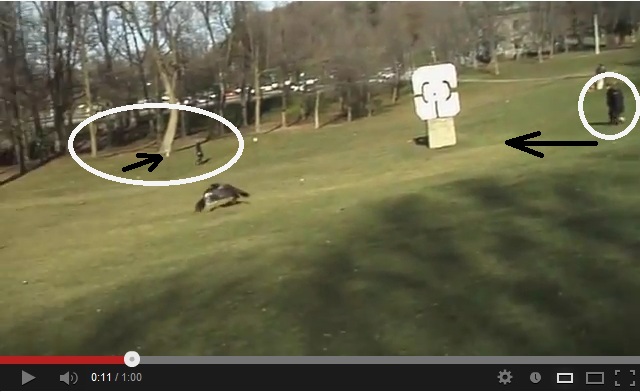 One frame of the video "Golden Eagle Snatches Kid" shows shadows in almost opposite directions
