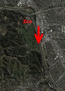 satellite image of sighting location of three "dragons" just east of Griffith Park, Los Angeles, California, early in 2013