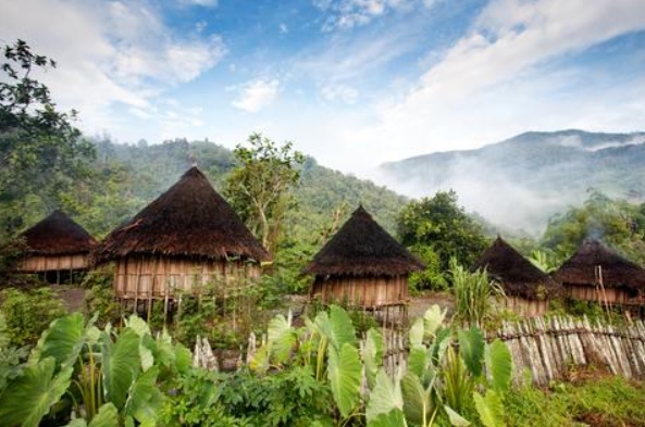 Papua New Guinea - native huts