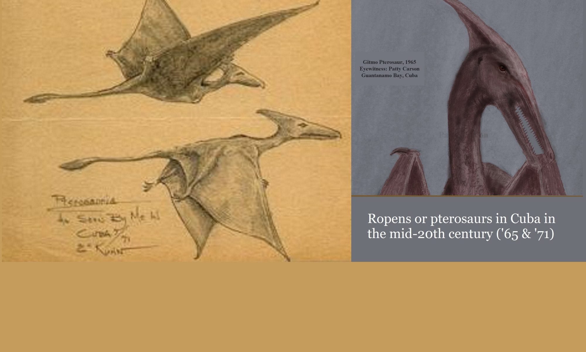 ropens or living pterosaurs seen in Cuba