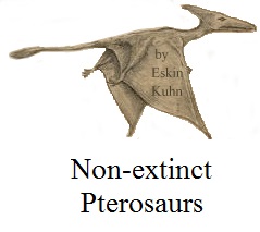 sketch of a modern pterosaur - by Eskin Kuhn