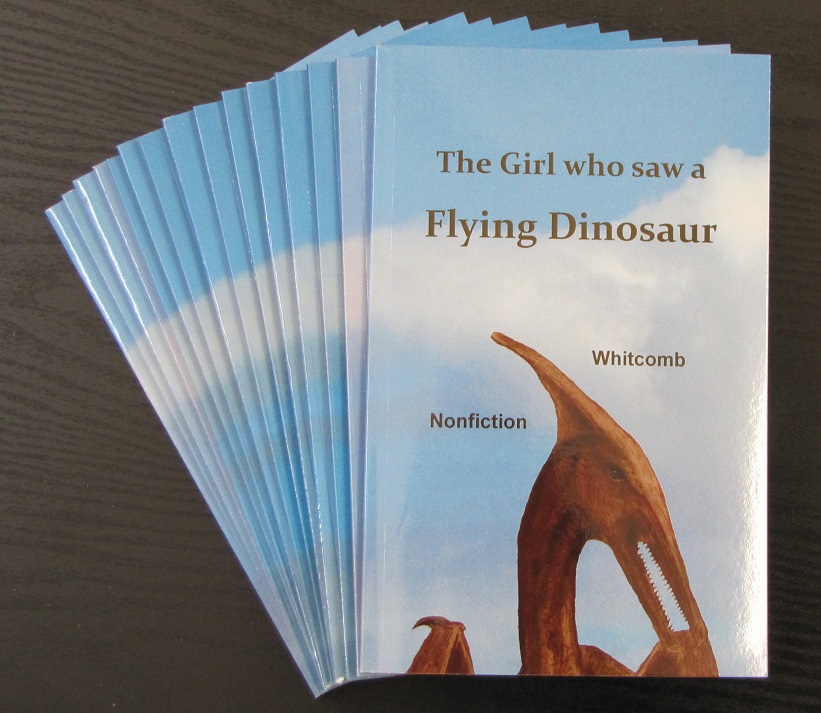 stack of 14 books: "The Girl who saw a Flying Dinosaur"