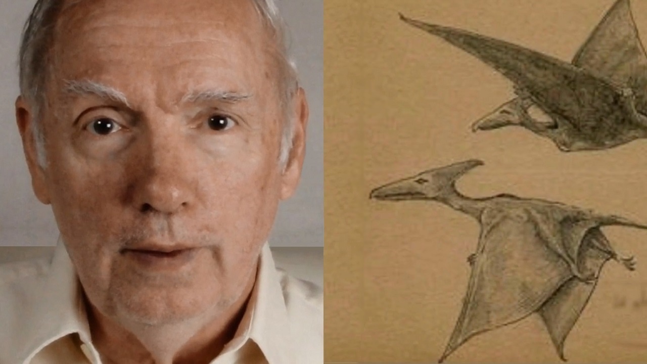 Jonathan Whitcomb on left; two living pterodactyls on right - thumbnail for Youtube video "Living Pterosaurs"