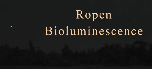 test: Ropen Bioluminescence - plus small light (simulation)