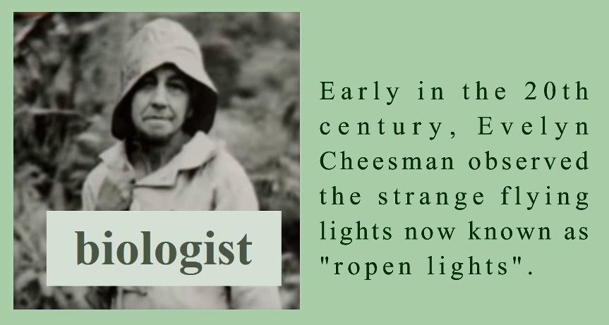 British biologist and entomologist Evelyn Cheesman