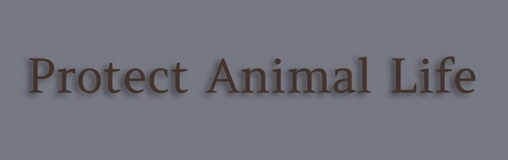 banner for the Youtube channel "Protect Animal Life"
