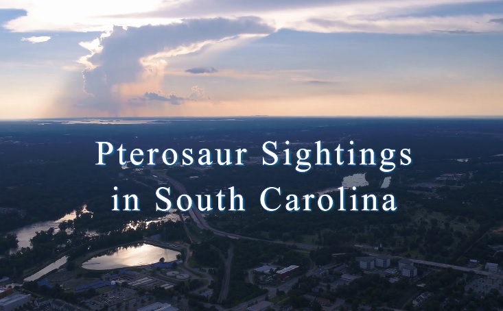 video on pterosaur sightings in South Carolina