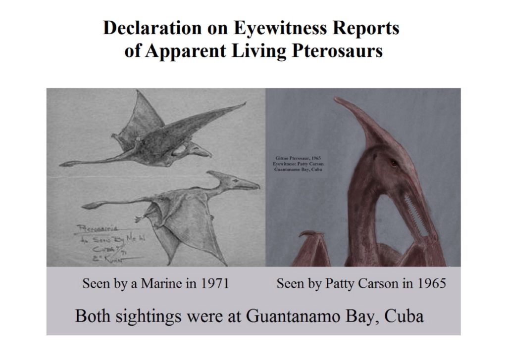 from web page "Declaration on Eyewitness Reports of Apparent Living Pterosaurs